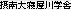 �ۓ��Q����w��